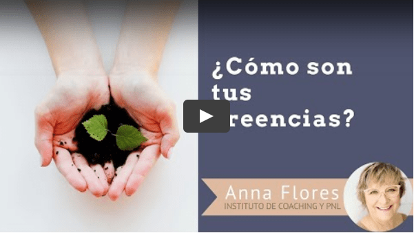 Com són les teves creences